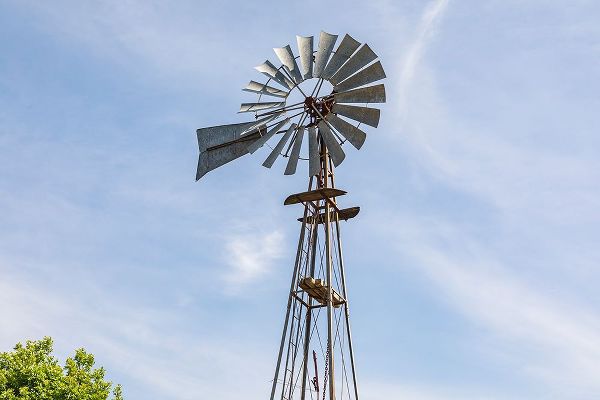 Wilson, Emily M. 아티스트의 Castroville-Texas-USA-Windmill in the Texas Hill Country작품입니다.